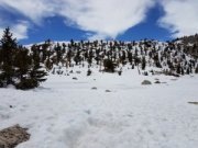 wp-image-915293056